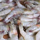 Gamberi alla griglia