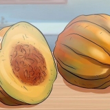 Conserve di verdure della famiglia dei cetrioli