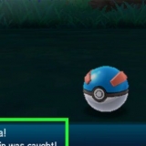 Grubbin in evoluzione in pokémon sole e luna
