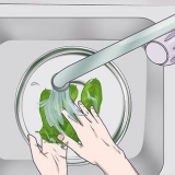 Preparare le foglie di guava per la perdita di peso