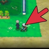 Allena l'ev del tuo pokémon