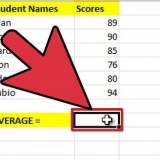 Come calcolare la media e la deviazione standard in excel 2007