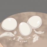 Determinazione del sesso dei pappagalli