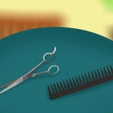 Tagliare i capelli a un bambino