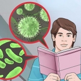 Conosci la differenza tra un batterio e un virus