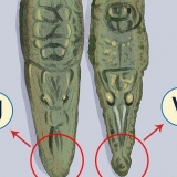 Guarda la differenza tra un coccodrillo e un alligatore