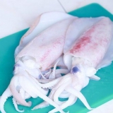 Cucinare i calamari