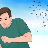 Cura le punture di insetti