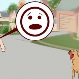 Superare la paura dei cani