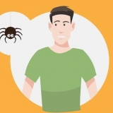 Supera la tua paura dei ragni