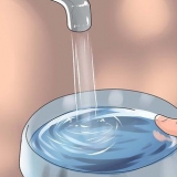 Fai il bagno al tuo pappagallino