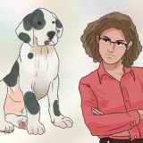 Addestra il tuo cane a non scappare