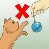 Proteggi il tuo albero di natale dai gatti