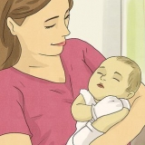 Scegli il tuo compagno di vita