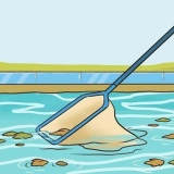 Pulisci la tua piscina da solo