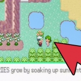 Ottieni jirachi in pokémon