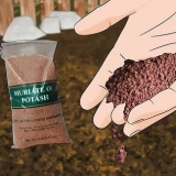 Aggiunta di potassio a un orto biologico