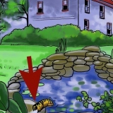 Tieni le rane fuori dal tuo giardino