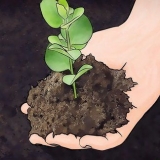 Miglioramento del terreno argilloso
