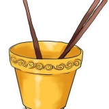Cetrioli in crescita in vaso