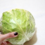 Prepara il cavolo cappuccio