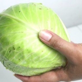 Cucinare il cavolo