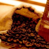 Fare il caffè freddo