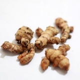 Usando la polvere di curcuma