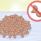 Lenticchie in crescita
