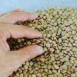 Preparare la zuppa di lenticchie