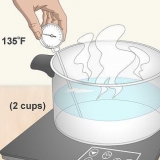 Conservazione delle foglie di magnolia