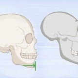 Identificazione delle ossa umane