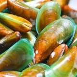 Cucinare le cozze