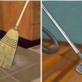 Combattere i topi in modo naturale