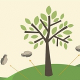 Pacciame intorno a un albero