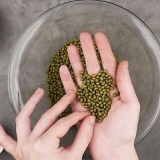 Preparare i fagioli mung