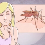 Distinguere tra malaria, dengue e chikungunya
