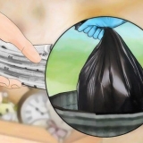 Sbarazzati delle cimici dei letti in modo naturale