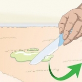 Come rimuovere la melma secca dal tappeto