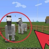Allevare cavalli in minecraft