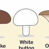 Coltivare funghi al chiuso