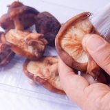 Funghi essiccati