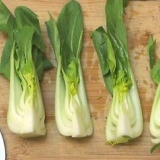Preparare il pak choi