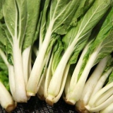 Affettare il pak choi