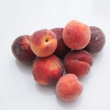 Conserve di pesche