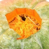 Semi di zucca arrostiti