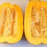Essiccare i semi di zucca