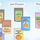 Piantare semi di zucca