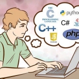 Programmazione al computer