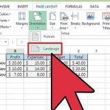 Genera report automaticamente in excel